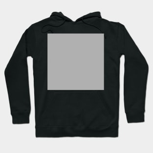 Solid Fog Light Gray Monochrome Minimal Design Hoodie